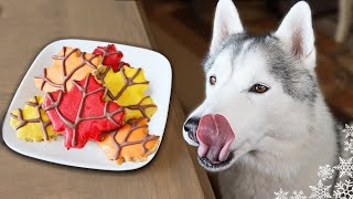 Maple Bacon Dog Treats with Bacon Glitter 🥓 DIY Dog Treats Recipe [upl. by Debarath400]