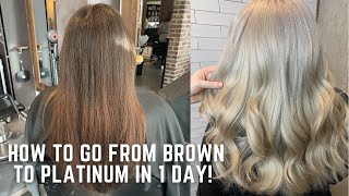 How to go from Brown to Platinum in one day  color correction tutorial transformation demi hair dye [upl. by Llehsem]