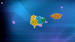 Ubiquitin Mediated Protein Degradation Explanation by Aaron Ciechanover [upl. by Natalina]