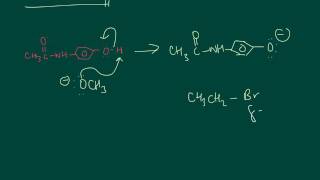 Williamson ether synthesis  phenacetin [upl. by Fink]