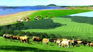 South Moravian Region  Czech Republic HD1080p [upl. by Boor100]