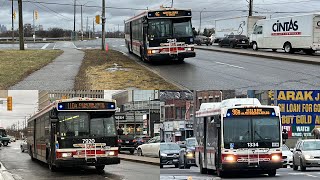 TTC Bus 182 [upl. by Elyssa956]