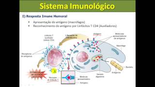 Sistema Imunológico  características funções e células de defesa [upl. by Gawen]