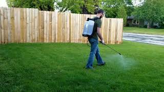 How To Kill Weeds  Spray Lawn Weeds With Tenacity [upl. by Chabot]