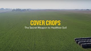 Cover Crops The Secret Weapon to Healthier Soil [upl. by Hayden]