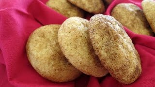 Snickerdoodle Recipe  The Frugal Chef [upl. by Necyla]