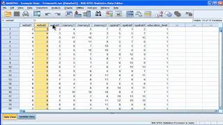 MANOVA  SPSS part 1 [upl. by Elleined493]