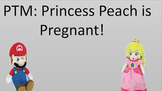 Plush Toy Movie Princess Peach is Pregnant [upl. by Leahcimnhoj453]