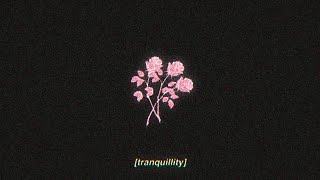 tranquillity  lofi hip hop beat FREE FOR PROFIT USE [upl. by Pettifer]