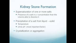 Altered Renal and Urologic Function [upl. by Kasey255]