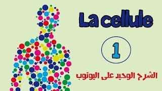 la celluleالخلية le premier épisode de lanatomie [upl. by Isdnil923]