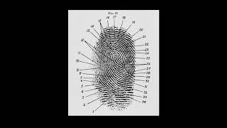 Introduction What are Fingerprints [upl. by Findley]