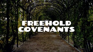 Introduction to Freehold Covenants Part 1  Land Law [upl. by Anialahs]