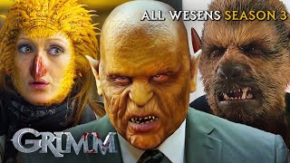 EVERY Wesen From Season 1  Grimm [upl. by Aicilaf]