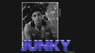 JUNKY  BROCKHAMPTON [upl. by Aara]