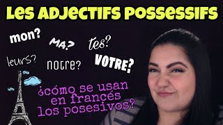 adjetivos posesivos en frances  ProfOriZulu [upl. by Namzed953]