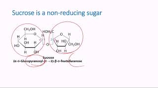 Nonreducing Sugars [upl. by Brentt]