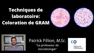 LABORATOIRE DE MICROBIOLOGIE COLORATION DE GRAM [upl. by Orfinger418]