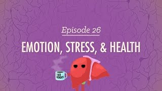 Emotion Stress and Health Crash Course Psychology 26 [upl. by Jt]