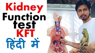 Kidney function test in hindi  Normal range and procedure explained [upl. by Neerom]