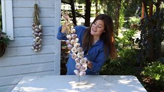 How to Braid Garlic THE EASY WAY 🌿 [upl. by Slater793]