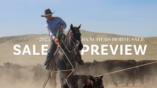 Hill County Classic Horse Sale [upl. by Etaner143]