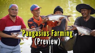 Pangasius Farming [upl. by Eatnom]