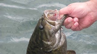 How To Rig Grubs  Bass Fishing [upl. by Ordnagela501]