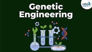 Genetic Engineering  Genetics  Biology  Dont Memorise [upl. by Akemot]