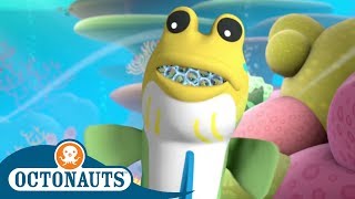 Octonauts  Helping the Mudskipper  Cartoons for Kids [upl. by Mast115]