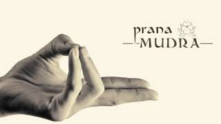 11 Basic Mudras You Need To Know And The Philosophy Behind Them [upl. by Asiram]