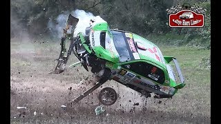 BEST OF RALLY 2019  BIG CRASHES amp MISTAKES [upl. by Rednaskela549]