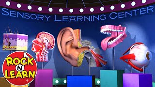 The Cells Organelles SONG  Memorize the Parts of the Cell [upl. by Nodyarg]