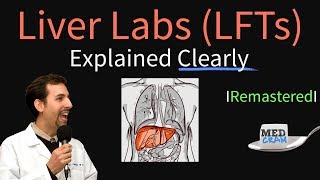 Liver Function Test Interpretation LFTs  Liver Enzymes Remastered Bilirubin GGT Alk Phos [upl. by Laureen778]