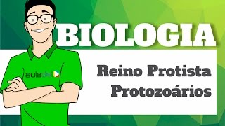 Biologia  Reino Protista Protozoários [upl. by Daph]