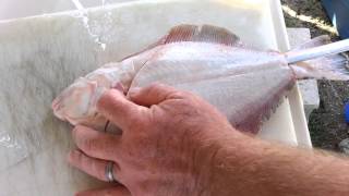 How to clean a flounder [upl. by Aramac]