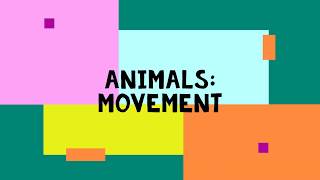 Animals Movements [upl. by Enitsirc]