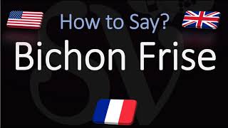 How to Pronounce Bichon Frisé CORRECTLY English French Dog Breed Pronunciation [upl. by Ri]