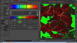 Leica Confocal Video Manual [upl. by Cinamod]