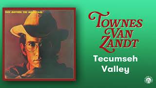 Townes Van Zandt  Tecumseh Valley Official Audio [upl. by Sarid]