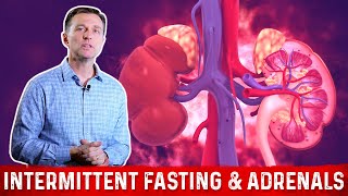 Intermittent Fasting Low Blood Sugar amp Adrenals – Dr Berg [upl. by Joselyn]