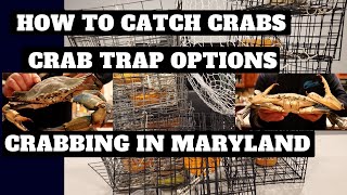 Crabbing In Maryland  Best Crab Trap Options [upl. by Bradney25]