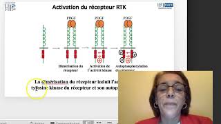 Capsule 8  Voie de signalisation MAPKinase [upl. by Assiron]