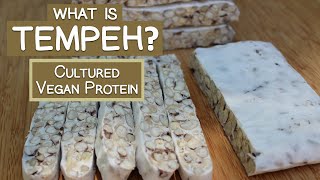 What is Tempeh A Cultured Vegan Protein Source [upl. by Kane]