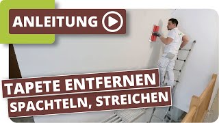 Vliestapete entfernen Wand glatt spachteln amp streichen [upl. by Aihsetel]