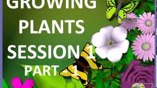 5th Class CBSE Science Growing Plants video lesson 1 part 1Worksheets link in desc [upl. by Eriam]