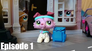 LPS The Orphan Episode 1 [upl. by Idou457]