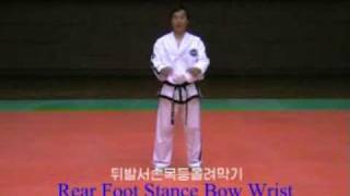 TongIl Tul new techniques and pattern [upl. by Airekat669]