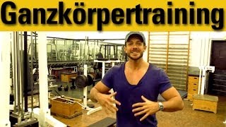 GanzkörperTrainingsplan für Muskelaufbau im Gym [upl. by Dazraf]