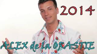 Best of ALEX de la ORASTIE  COLAJ 2014 [upl. by Kirsten]